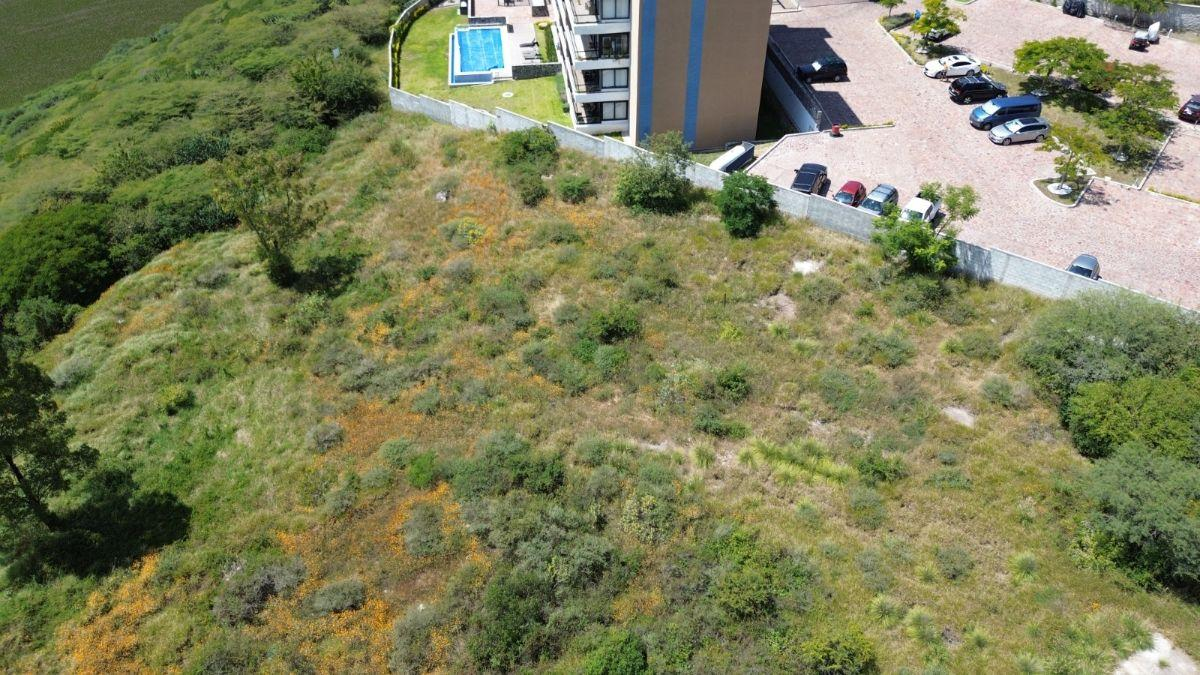 Cañadas del Lago – Terreno 14 Cañadas del Lago | Terreno