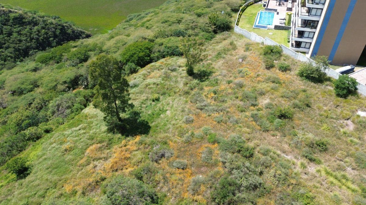 Cañadas del Lago – Terreno 15 Cañadas del Lago | Terreno