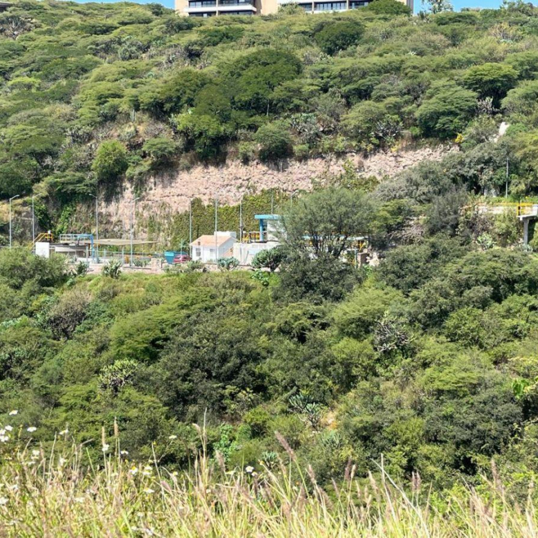 Cañadas del Lago | Terreno