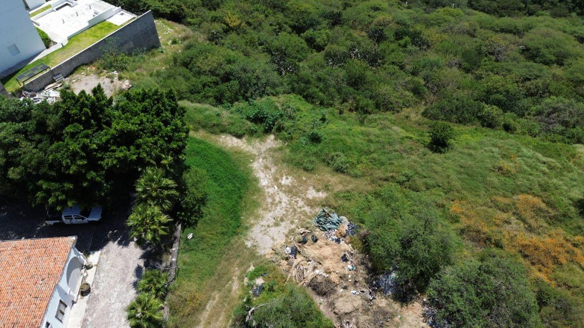 Cañadas del Lago – Terreno 8 Cañadas del Lago | Terreno