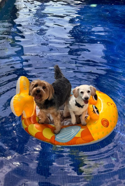 Ciccio y Totto