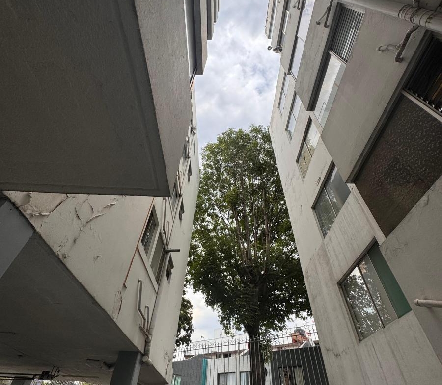 Ex Hacienda Coapa, Tlalpan