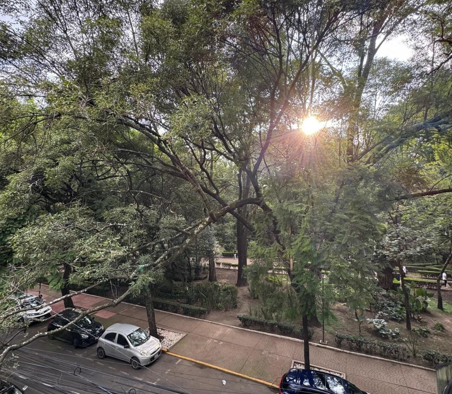 Local comercial en renta sobre Hipódromo Condesa CDMX