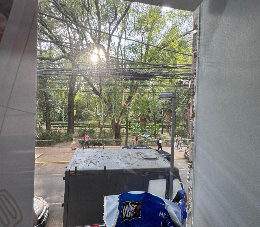 Calle arbolada y comercial donde se ubica local en renta en la Condesa