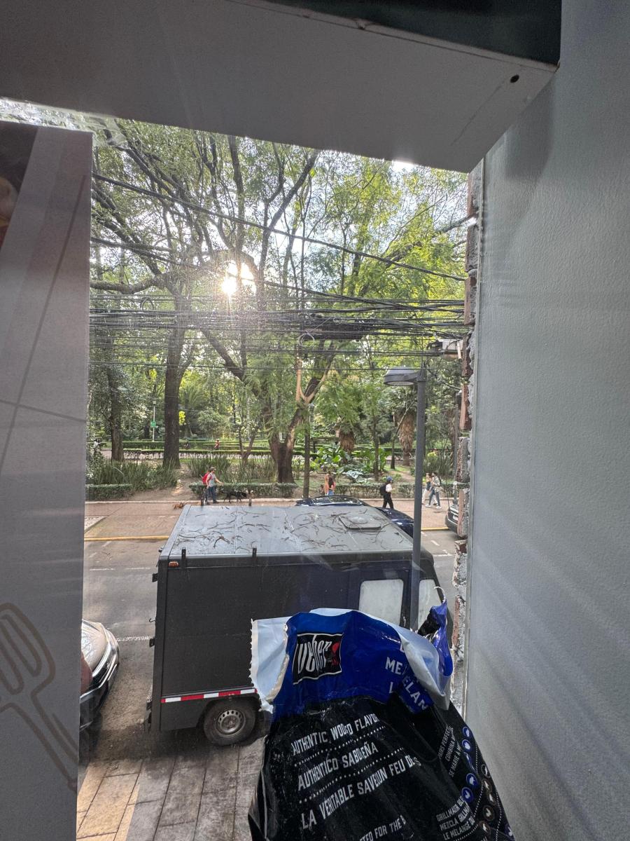 Local Comercial en renta en La Condesa CDMX 20 Calle arbolada y comercial donde se ubica local en renta en la Condesa