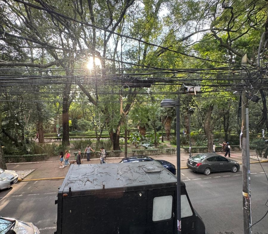 Calle arbolada y comercial donde se ubica local en renta en la Condesa
