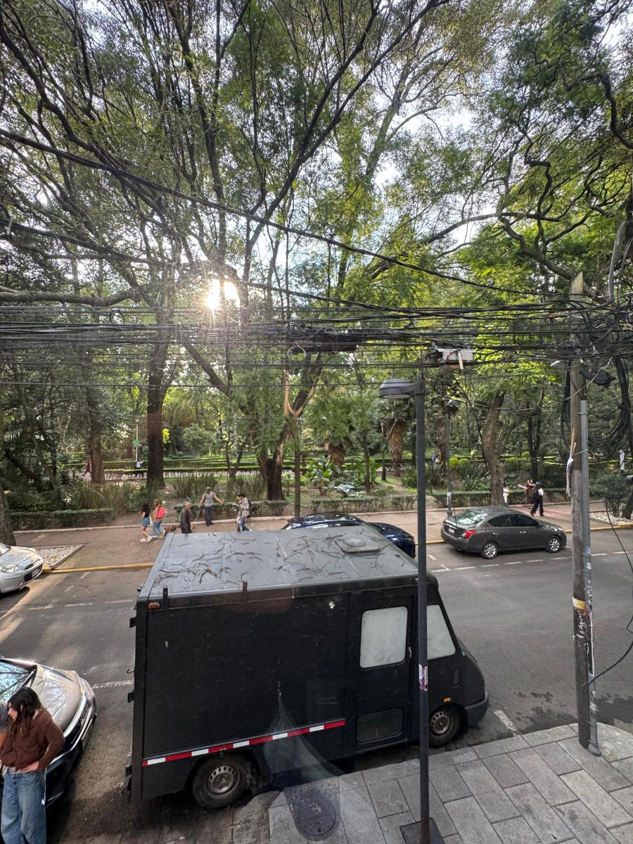 Local Comercial en renta en La Condesa CDMX 21 Calle arbolada y comercial donde se ubica local en renta en la Condesa